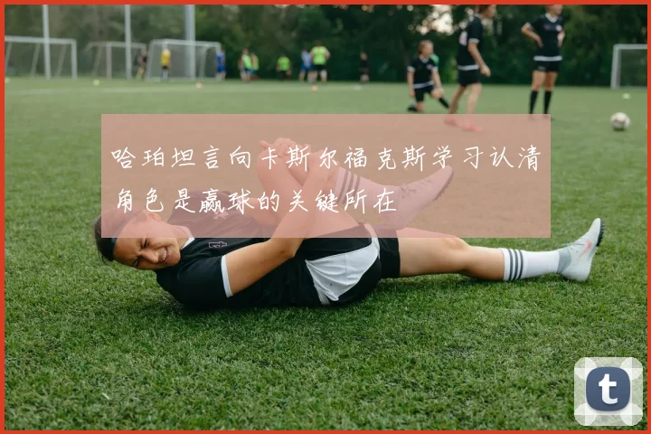 哈珀坦言向卡斯尔福克斯学习认清角色是赢球的关键所在